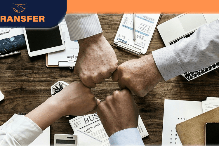 equipo de trabajo equipo de trabajo